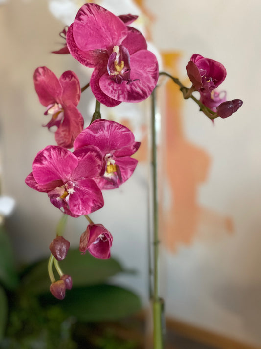 Orchid, 31" Pink - Lauren Egger Designs