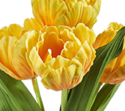 Parrot Tulip Bundle, Yellow - Lauren Egger Designs