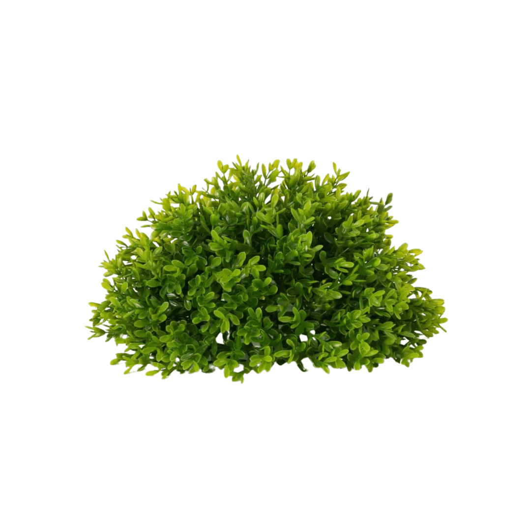 Leafy Foliage Half Orb, 11" - Lauren Egger Designs