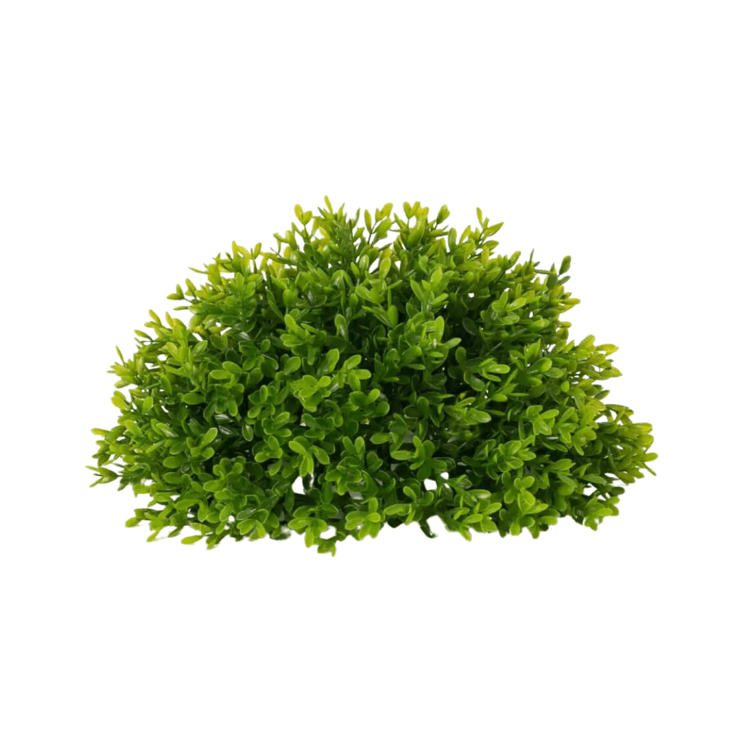 Leafy Foliage Half Orb, 13" - Lauren Egger Designs