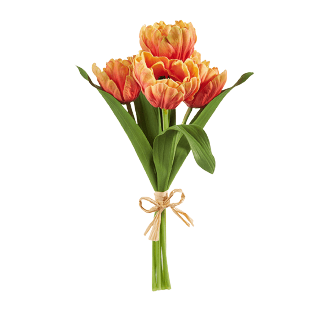 Parrot Tulip Bundle, Orange - Lauren Egger Designs
