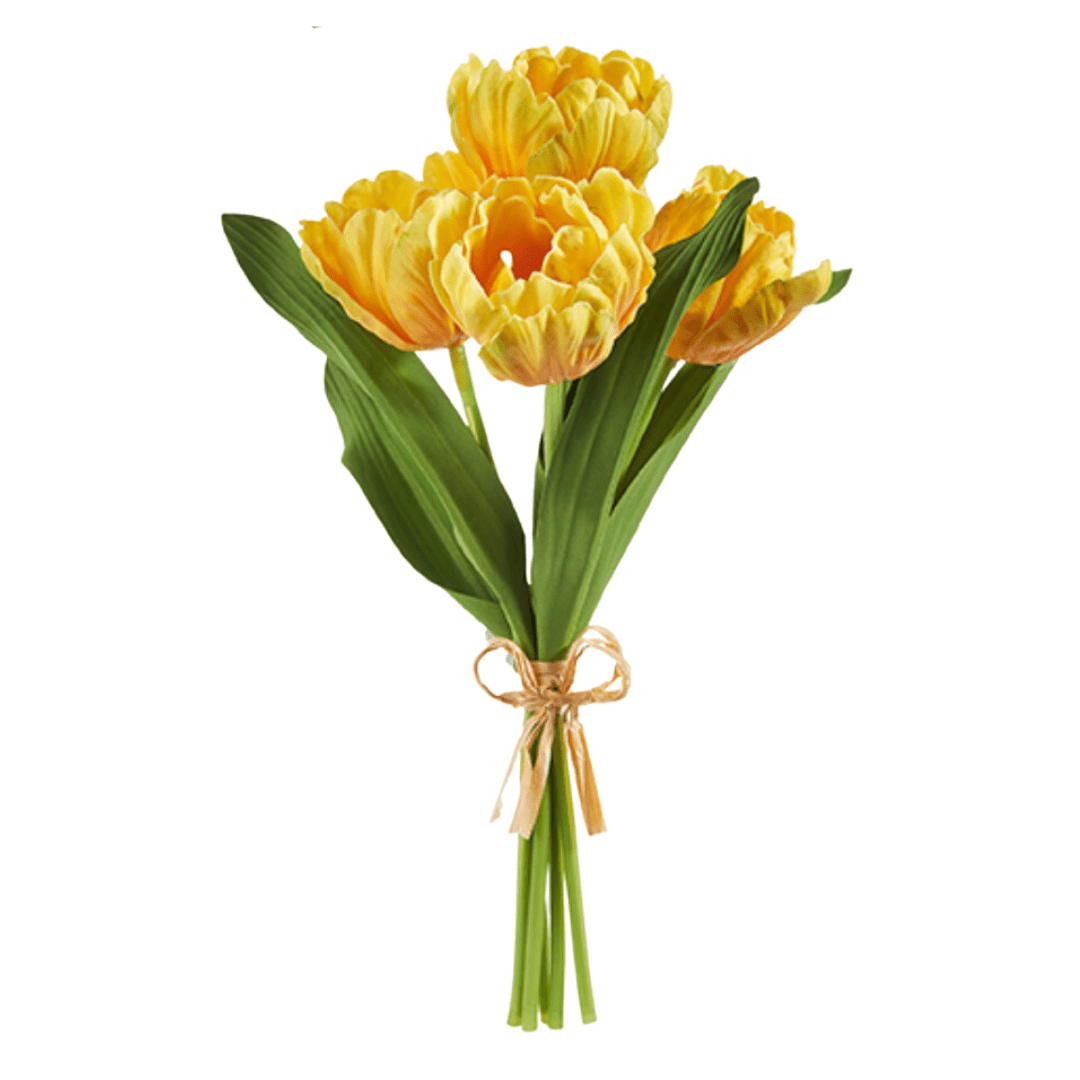 Parrot Tulip Bundle, Yellow - Lauren Egger Designs