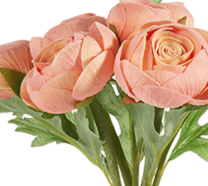 Ranunculus Bundle, Coral - Lauren Egger Designs