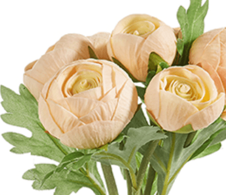 Ranunculus Bundle, Light Peach - Lauren Egger Designs