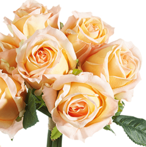 Rose Bundle, Peach - Lauren Egger Designs