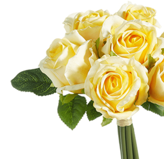 Rose Bundle, Yellow - Lauren Egger Designs